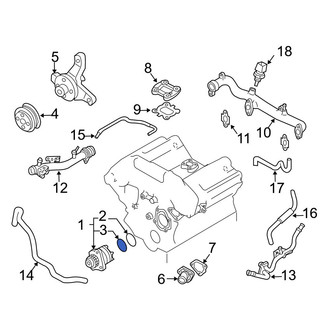 Infiniti OE - Engine Water Pump O-Ring