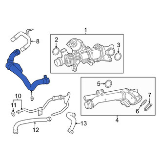 Infiniti OE - Lower Radiator Coolant Hose
