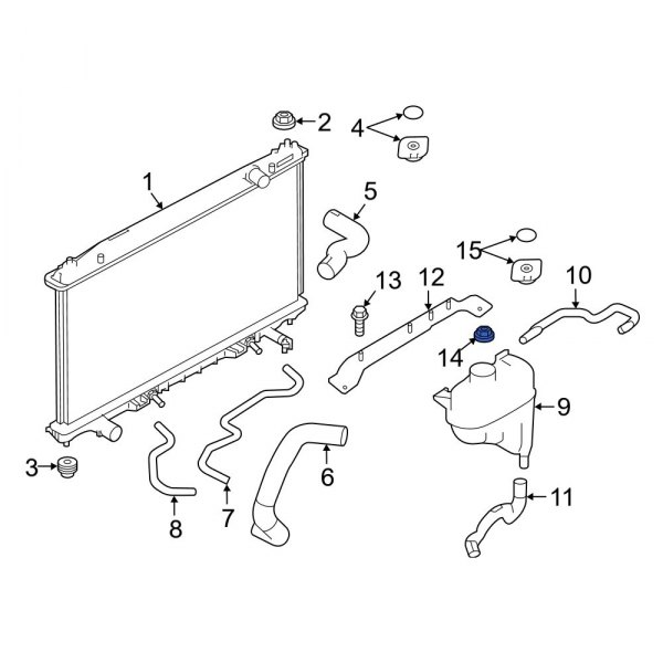 Engine Coolant Reservoir Nut