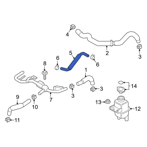 Intercooler Hose