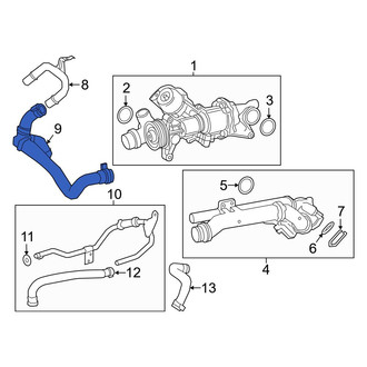 Infiniti OE - Upper Radiator Coolant Hose