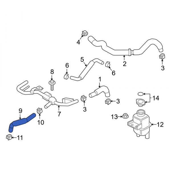 Intercooler Hose