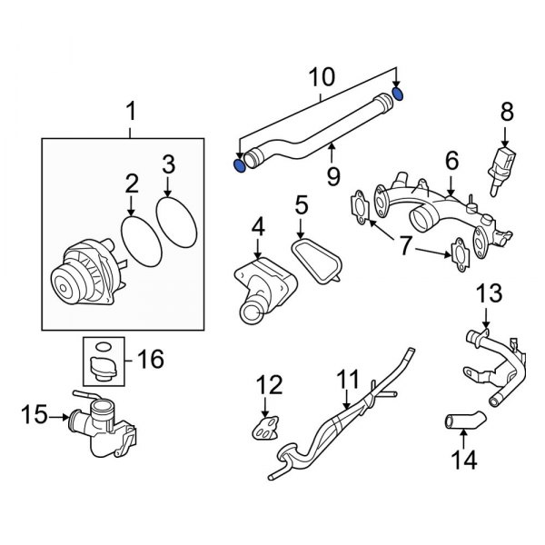 Engine Coolant Pipe Seal