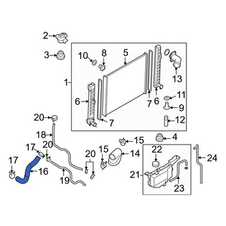 Infiniti OE - Lower Radiator Coolant Hose