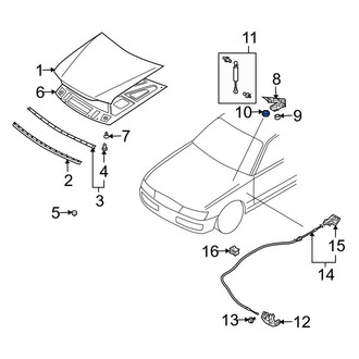 Infiniti OE - Hood Hinge Nut