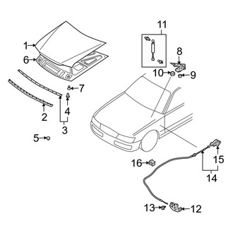 Infiniti OE - Hood & Components