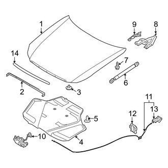 Infiniti OE - Hood & Components