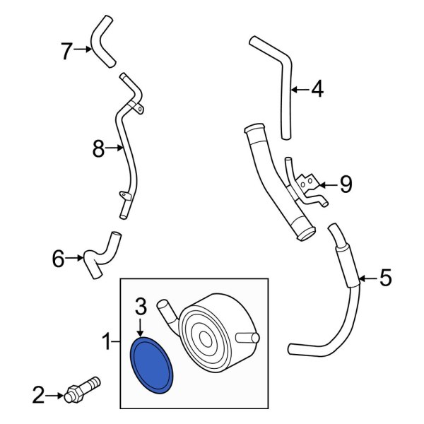 Engine Oil Cooler O-Ring