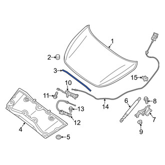 Infiniti OE - Front Hood Seal