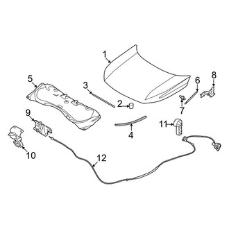 Infiniti OE - Hood & Components