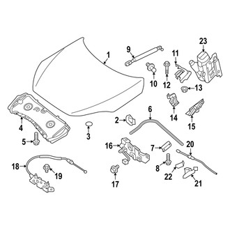 Infiniti OE - Hood & Components