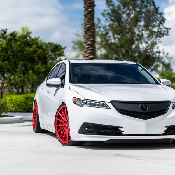 White Acura TLX with Custom Grille - Photo by Vossen