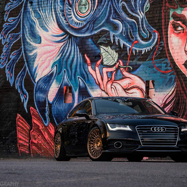 Dark Bronze Multi Spoke Wheels - Photo by Avant Garde