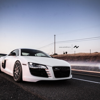 Predator R8 in It's Natural Habitat - Photo by Avant Garde