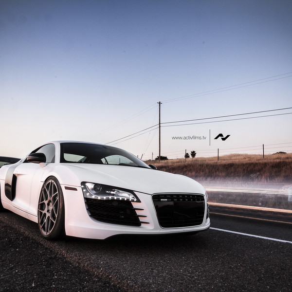 Predator R8 in It's Natural Habitat - Photo by Avant Garde