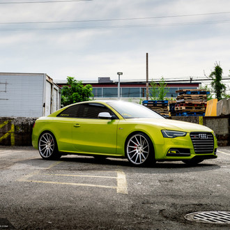 Snake Green Audi S5 Rolling on Niche Surge Wheels
