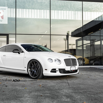 White Bentley Continental with Chrome Grille - Photo by ADV.1