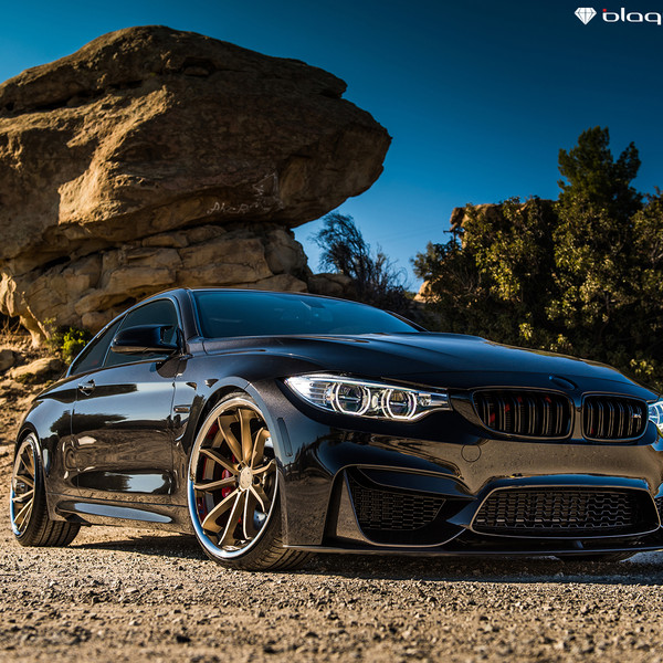 Stanced BMW M4 - Carnivorous Shark - Photo by Black Diamond