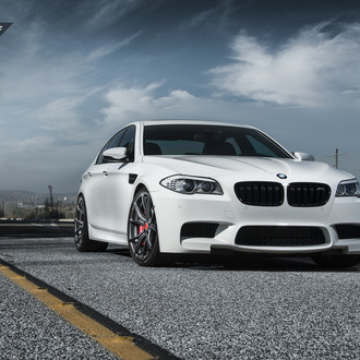 Dark Smoke Halo Headlights on White BMW 5-Series - Photo by Vorstiner
