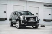 VIP Appearance of Black Cadillac Escalade Emphasized With Contrasting Chrome Elements