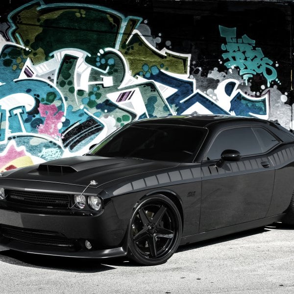 Custom 2010 Dodge Challenger | Images, Mods, Photos, Upgrades — CARiD ...