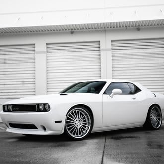 Super Clean Dodge Challenger on New York Matte Silver Rims - Photo by XO Luxury