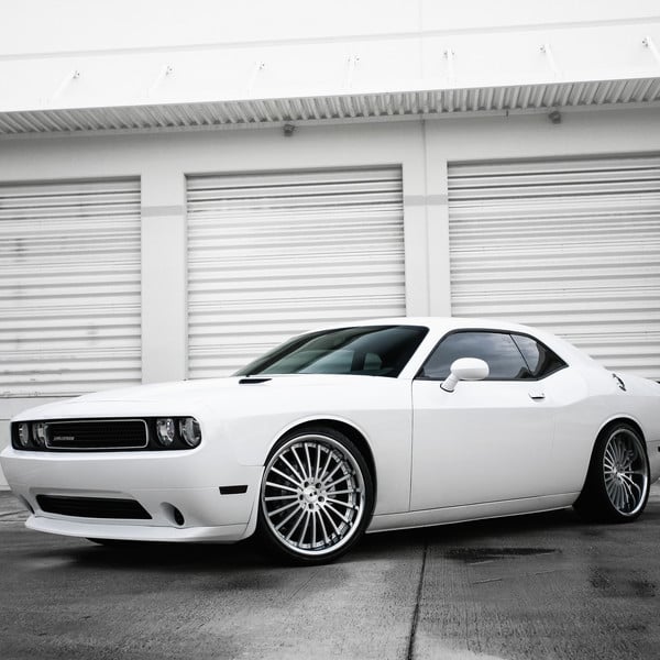 Super Clean Dodge Challenger on New York Matte Silver Rims - Photo by XO Luxury