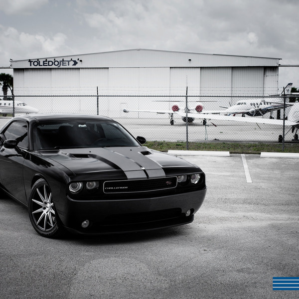 Black Mamba - Dodge Challenger R/T - Photo by XO Luxury