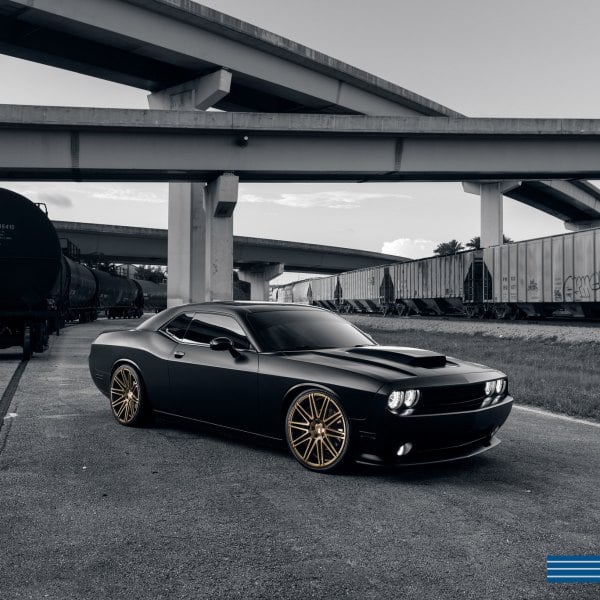 Custom 2014 Dodge Challenger | Images, Mods, Photos, Upgrades — CARiD ...