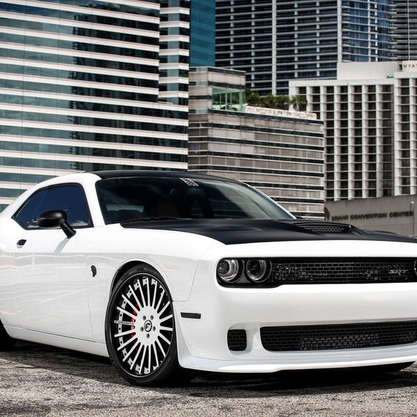 Cold-Blooded Stormtrooper - Black / White Dodge Challenger - Photo by Exclusive Motoring