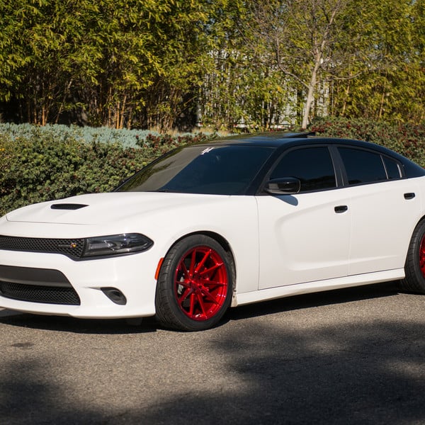 White Dodge Charger with Custom Mesh Grille - Photo by Avant Garde Wheels