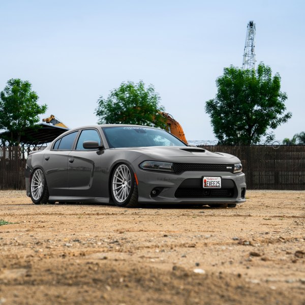 Custom 2018 Dodge Charger | Images, Mods, Photos, Upgrades — CARiD.com ...