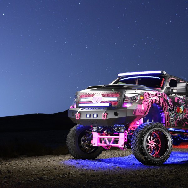 Custom 2010 Ford F-150 | Images, Mods, Photos, Upgrades — CARiD.com Gallery