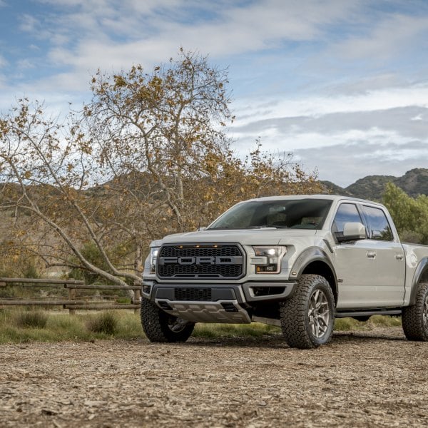 Custom Ford F-150