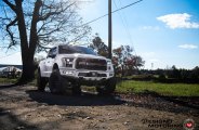 Custom Elements Highlight Dramatic Appearance of Lifted Ford F-150