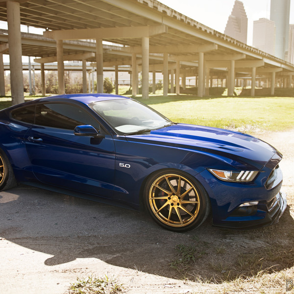 Blue 5.0 Stang on Gold Avant Garde Wheels - Photo by Avant Garde