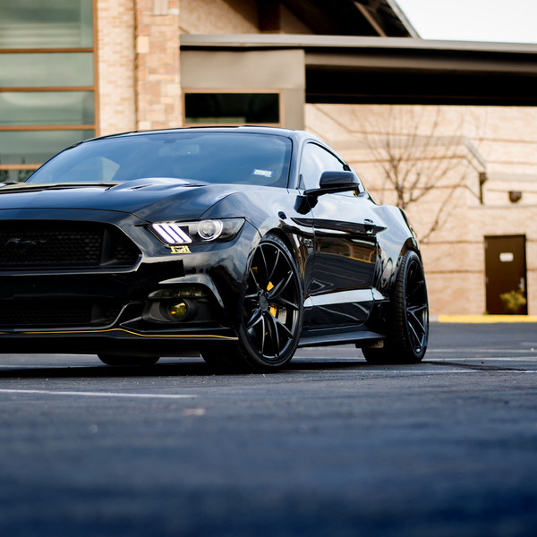 Dark Knight - Mustang GT on Niche Custom Wheels - Photo by Niche