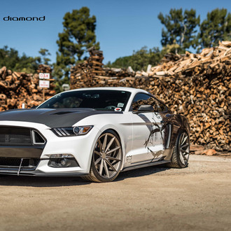 The Balance Of Opposites - Black and White Mustang by Black Diamond