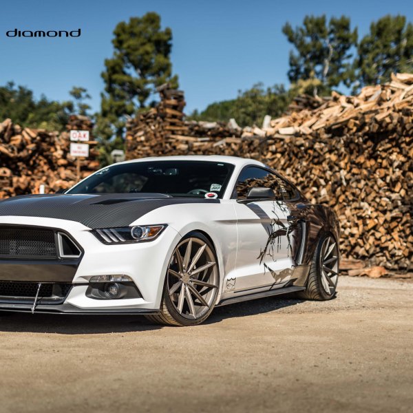 The Balance Of Opposites - Black and White Mustang - Photo by Black Diamond