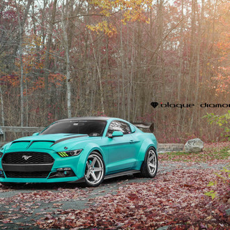 Modern Stallion Breed - Slammed Mustang GT by Black Diamond