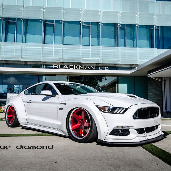 Ford Mustang Air Runner Flushed to The Ground - Photo by Black Diamond