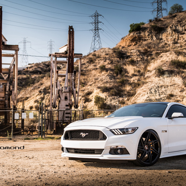 Pure Automotive Beauty - Snow White Mustang GT - Photo by Black Diamond