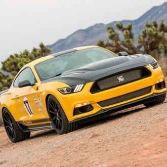 Terlingua Racing Team Yellow Ford Mustang GT