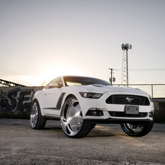White and Wild Stang on Full Face DUBs