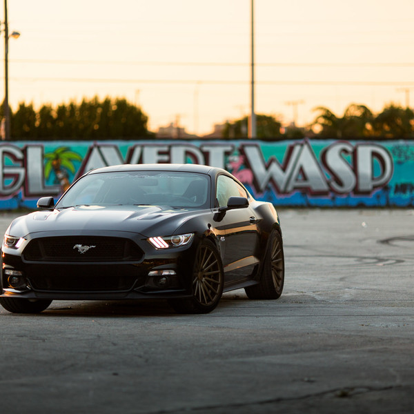 Custom Black Ford Mustang GT 5.0 - Photo by Vosstn