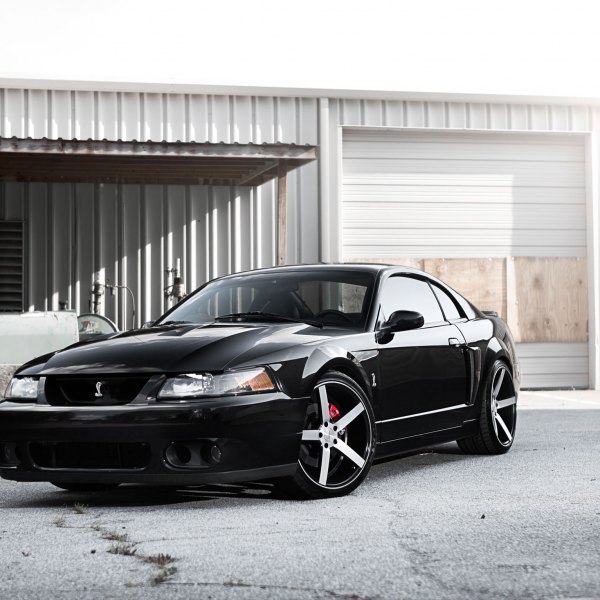 Gloss Black Ford Mustang with Custom Front Bumper - Photo by Vossen