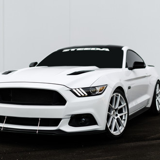 Storm Trooper White Mustang GT 5.0