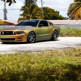 Blacked Out Grille on Custom Painted Ford Mustang - Photo by Vossen