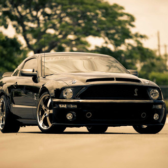 Aftermarket Vented Hood on Black Ford Mustang - Photo by Vossen