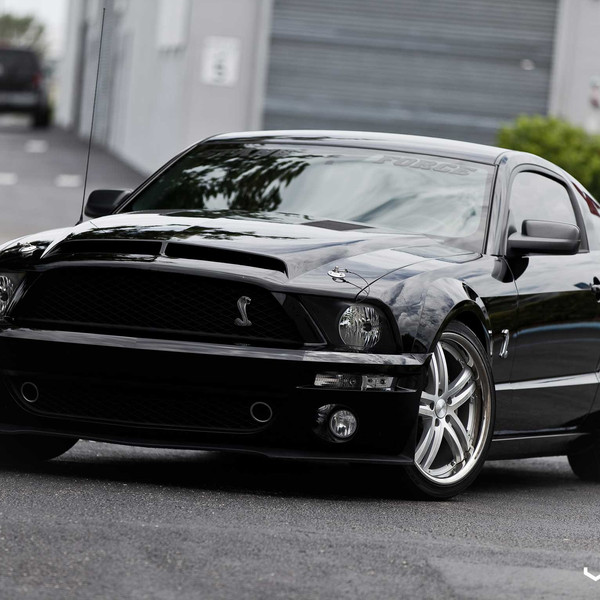 Black Ford Mustang Cobra with Custom Hood - Photo by Vossen
